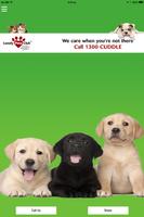 Lonely Pets poster