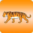 Tiger Family Chiropractic иконка