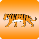 APK Tiger Family Chiropractic