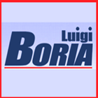 Luigi Boria-icoon