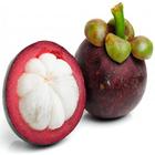 Mangosteen Juice UK आइकन