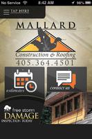 Mallard poster