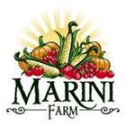 Marini Farm ícone