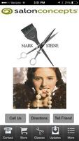 Mark Steine Salon poster