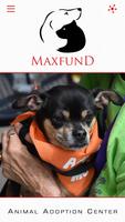 MaxFund 스크린샷 2