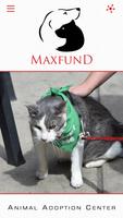 MaxFund ภาพหน้าจอ 3