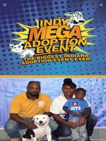 Indy Mega Adoption capture d'écran 3