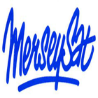 Merseyside Satellite icône