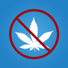 Drug Test Info icon