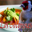 Los Colorines APK