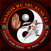 Shaolin Wushu Kung Fu APK