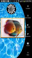 Discus Dave's Affiche