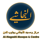 Al-Nagashi icône