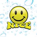 Mr. Nice Car