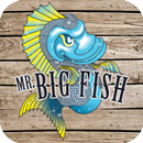 Mr Big Fish APK