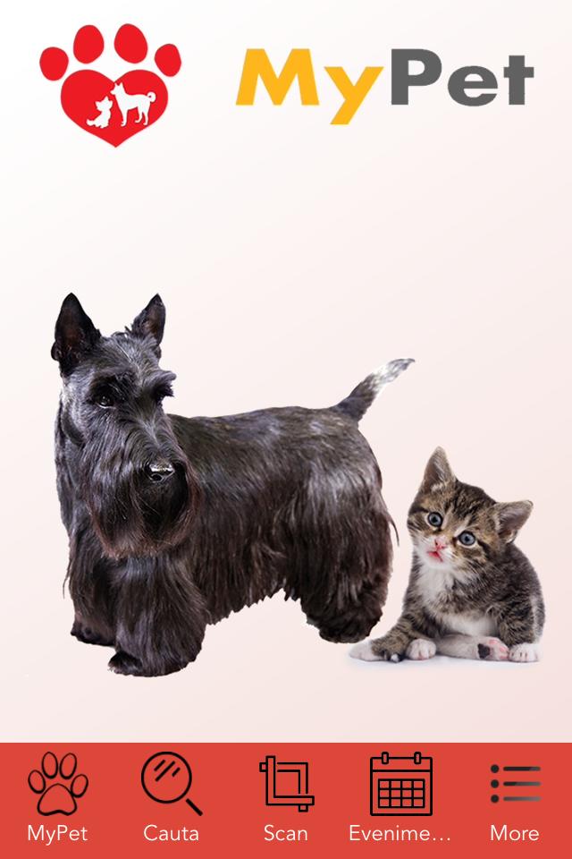 Days my pet. My Pet. My Pets питомец. My Pet приложение. Картинки на тему my Pet.