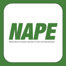 NAPE APK