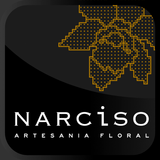 Narciso icône