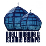 Neeli Mosque icône