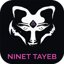 Ninet Tayeb APK