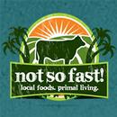 Not So Fast Food Truck APK