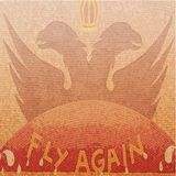 Fly Again Argaka icono
