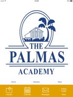 The Palmas Academy скриншот 3