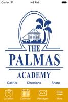 The Palmas Academy постер