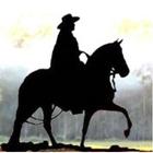 The Peruvian Paso Horse icon