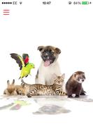 Pet Supplies UK اسکرین شاٹ 1