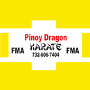 Pinoy Dragon Karate APK