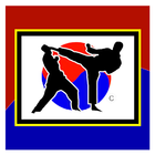 Pilsung Martial Arts 图标