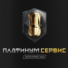 Платинум Сервис icon