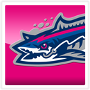 Pensacola Blue wahoos APK