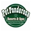 Pet Ponderosa