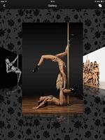 Pole Perfect Dance 截圖 3