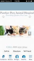 Purrfect Pets اسکرین شاٹ 1