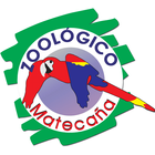 آیکون‌ Zoológico Matecaña