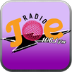 Radio Joe 106.1 FM APK