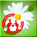APK ТРК Красный Яр