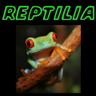 Reptilia ícone