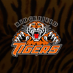 Ridgefield High School Tigers