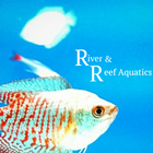 River And Reef Aquatics أيقونة