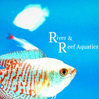 Icona River And Reef Aquatics