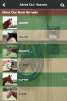 Ryerss Farm For Aged Equines 截图 2