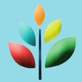 School Seed