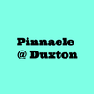 ”Pinnacle Duxton