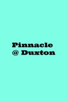Pinnacle Duxton poster