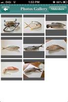 برنامه‌نما Yang Ming Fish Merchant عکس از صفحه