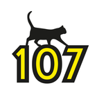 Black Cat 107 icône